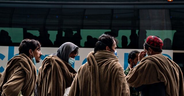 85% of Afghan Families with Children are Receiving Assistance in the U.S.