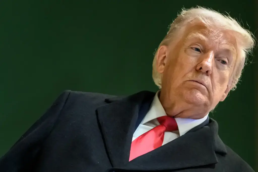 A look back at Trump's second first year