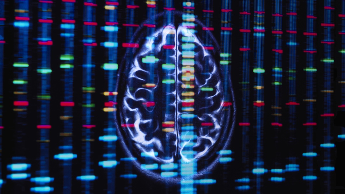 A single gene could account for more than 90% of Alzheimer's cases.