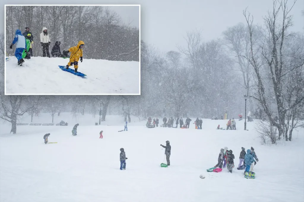 Aiming to earn some money