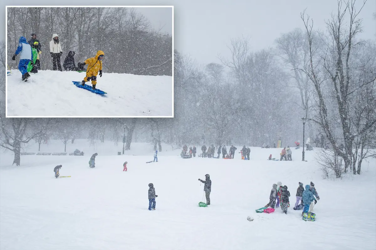 Aiming to earn some money