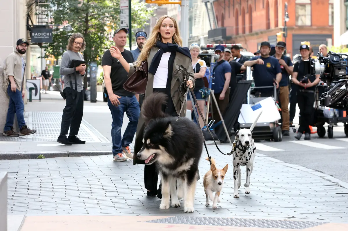 Anger about Jennifer Lawrence's dog highlights how we prioritize others over children.