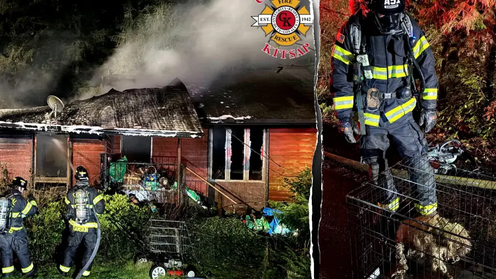 Around 40 dogs perish in a house fire in Washington, while firefighters save 3 from the flames.