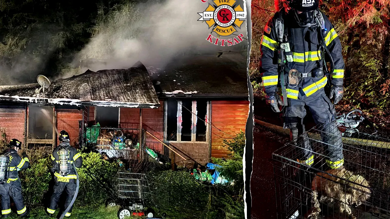 Around 40 dogs perish in a house fire in Washington, while firefighters save 3 from the flames.