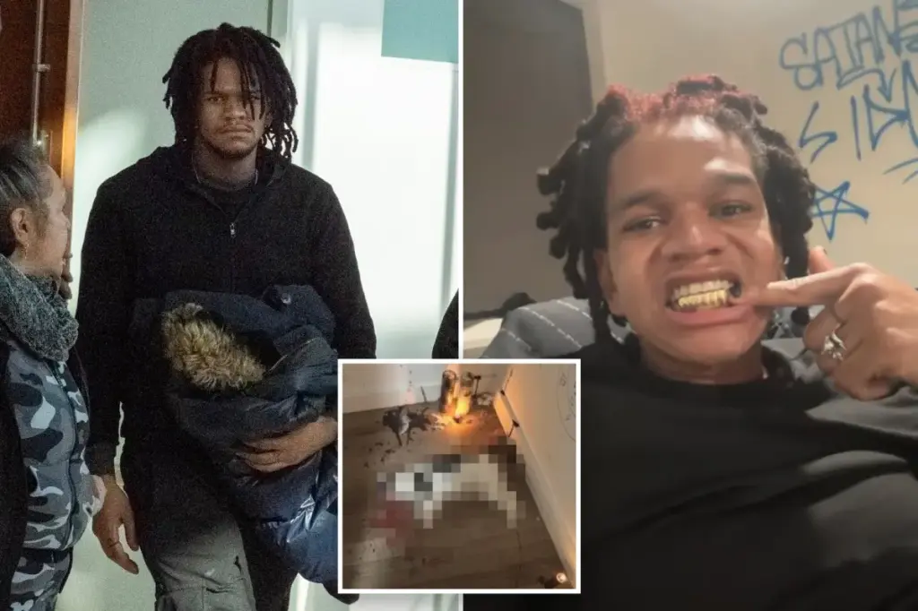 Aspiring rapper in NYC charged with animal cruelty for torturing and killing stray cat