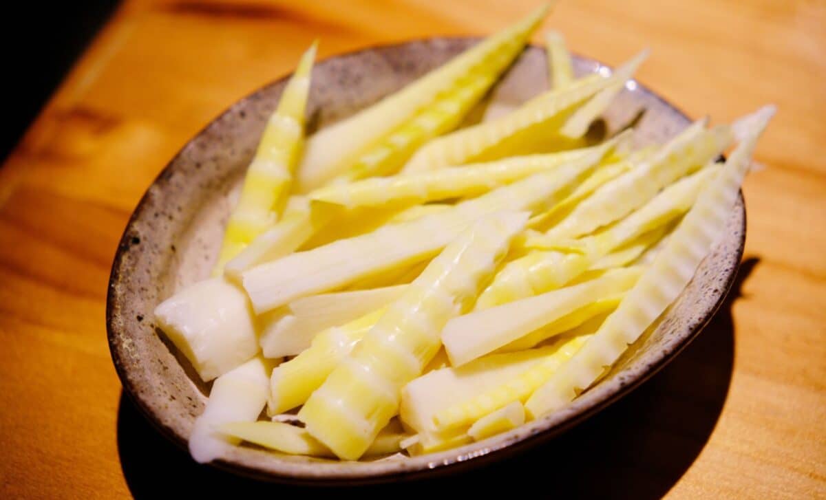 Bamboo for Breakfast? Why Specialists Believe It Might Change Your Metabolism