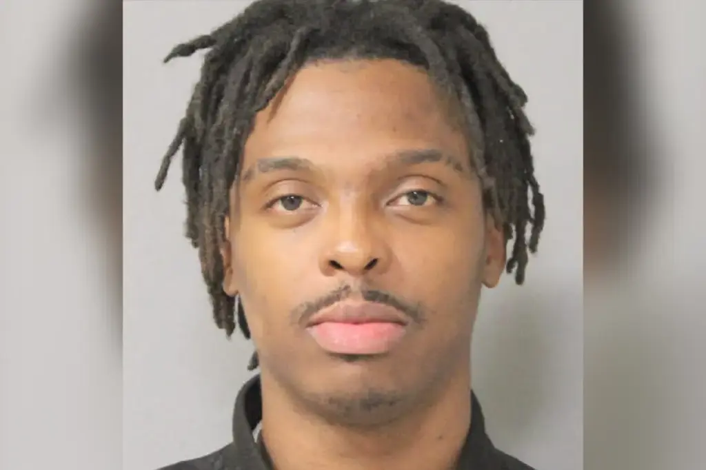 Bandit in Long Island snatches dog from 15-year-old girl during night walk and is rapidly caught, according to police.