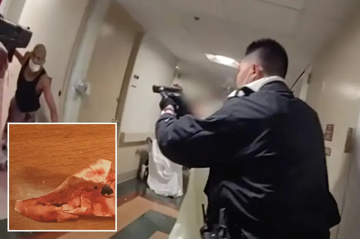 Body camera footage reveals deadly police shooting of knife-holding patient in NYC hospital