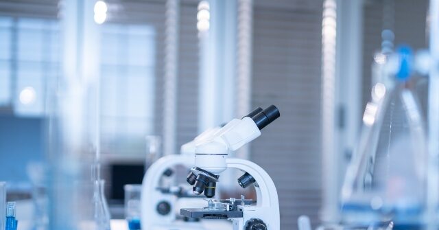 Boston's Biotech Growth Takes a Downturn