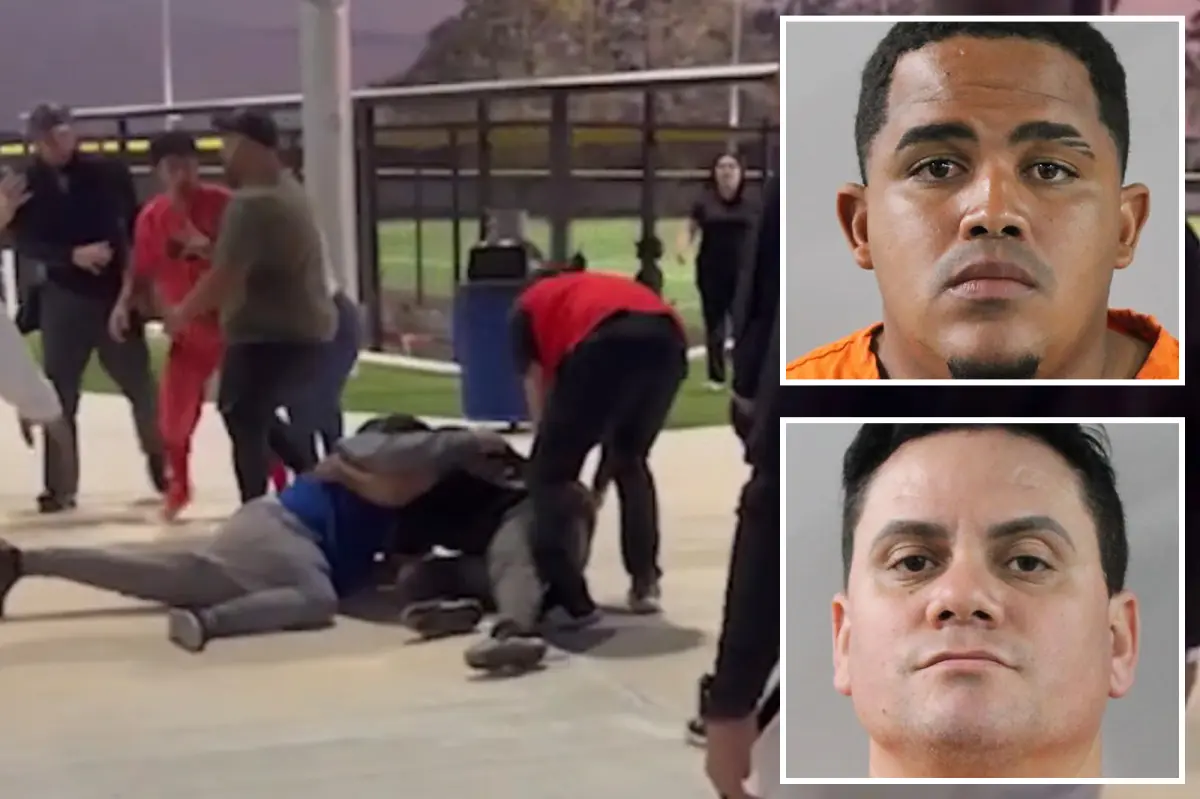 Brawl among players occurs at Florida baseball game after angry parent punches umpire's father: video