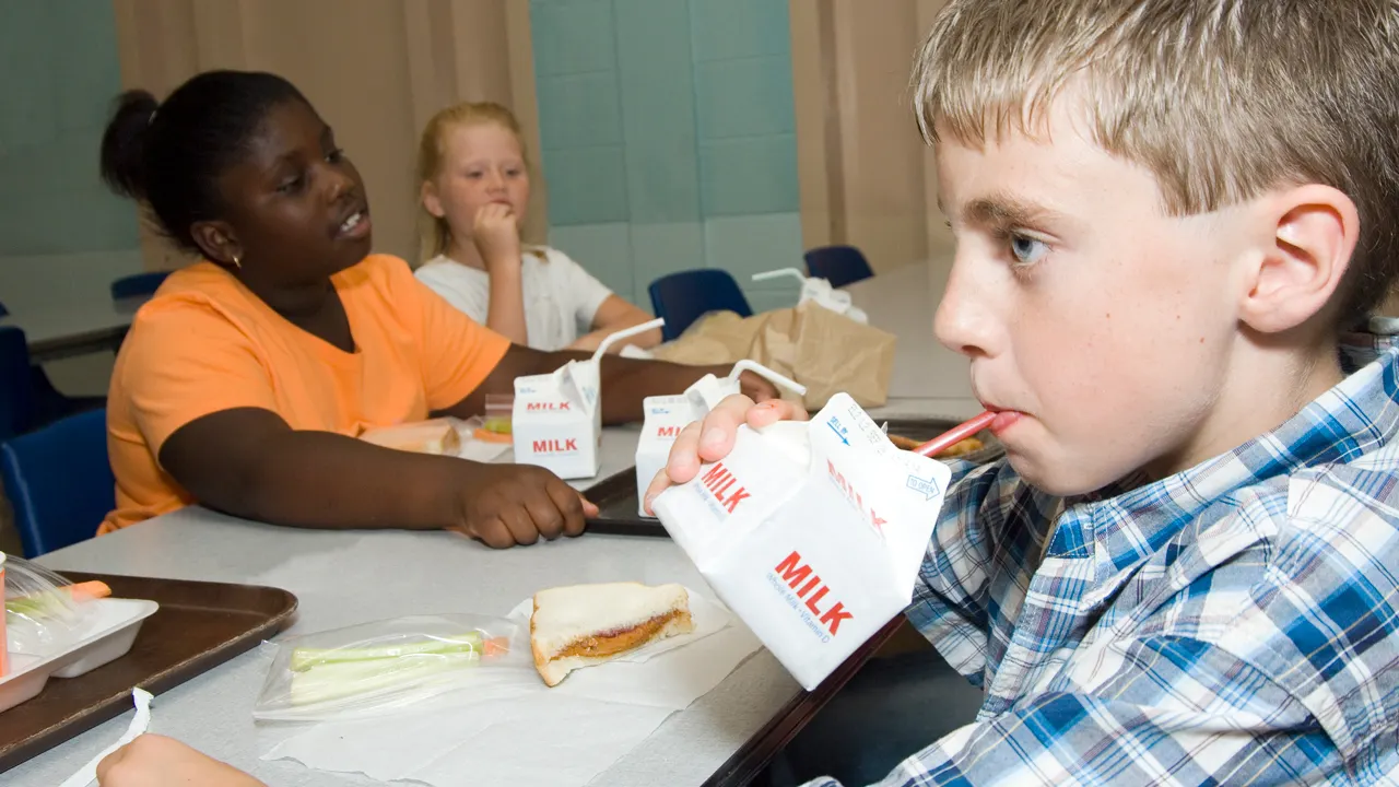 Brooke Rollins: Obama took away kids' whole milk—Trump brings back nutrition and farming optimism