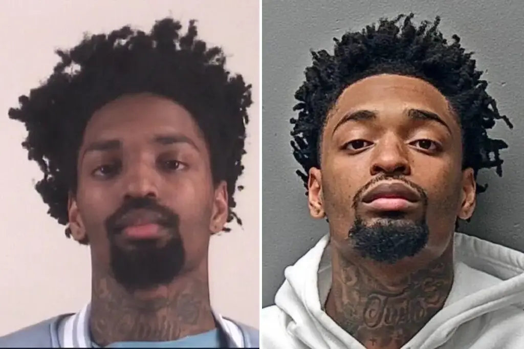 Brothers charged with murdering a man who made them undress at gunpoint during a robbery