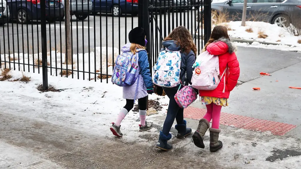 Chicago Teachers Union criticized for prioritizing social justice while performance suffers