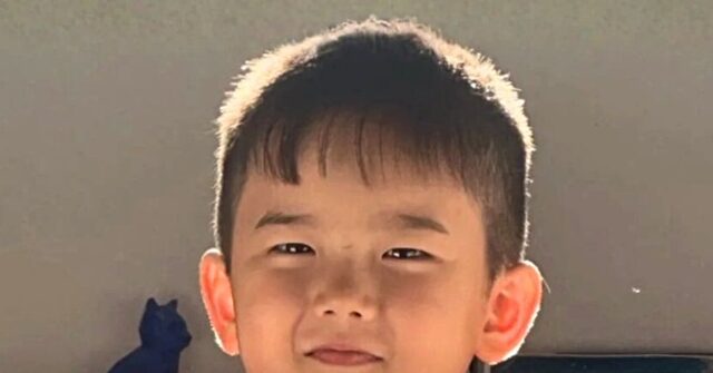 Child of Catholic Influencer Passes Away Following Flu Struggle