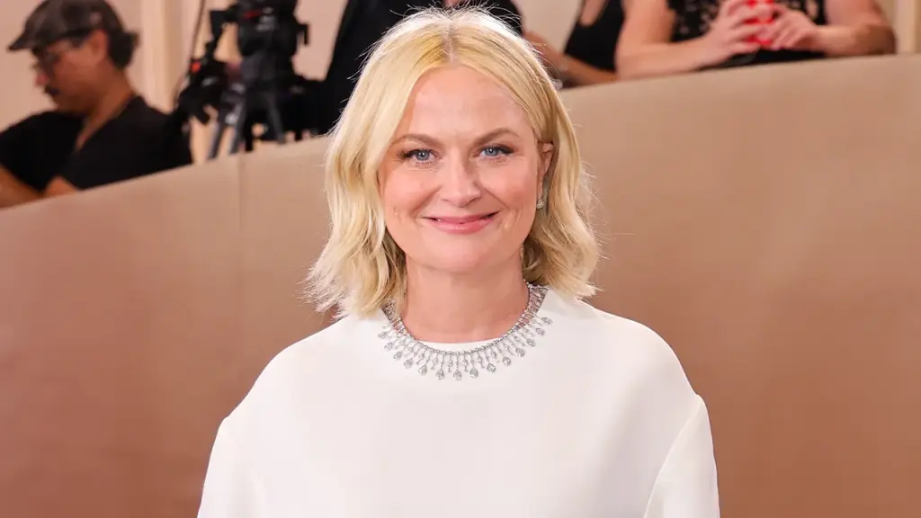 Comedian and Golden Globe winner Amy Poehler recounted a stressful interaction with another passenger during a flight.