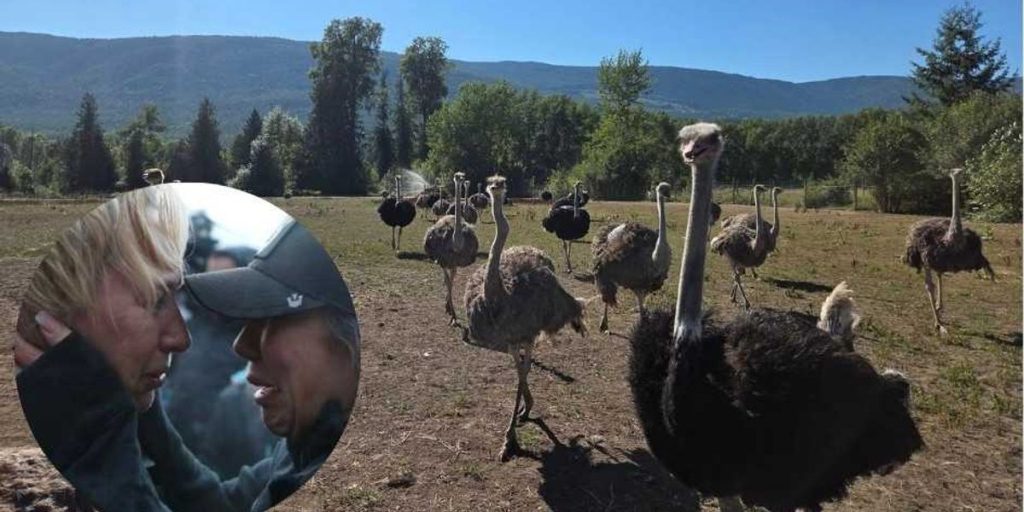 Consequences of a massacre: Universal Ostrich Farms promises to hold Canada responsible