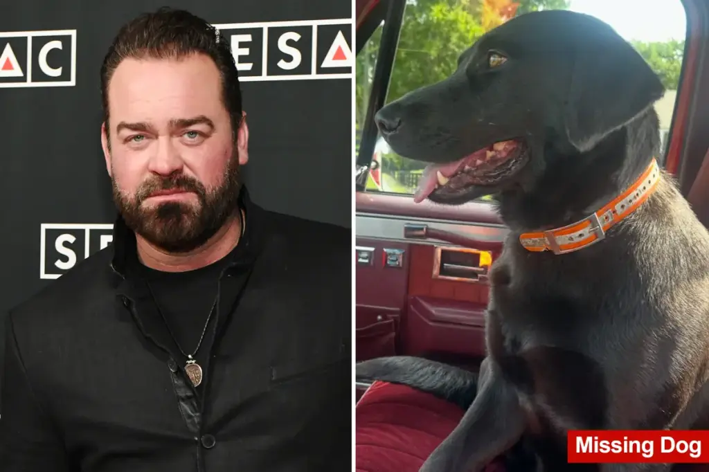 Country singer nominated for a Grammy seeks help in finding their family's missing pregnant dog.