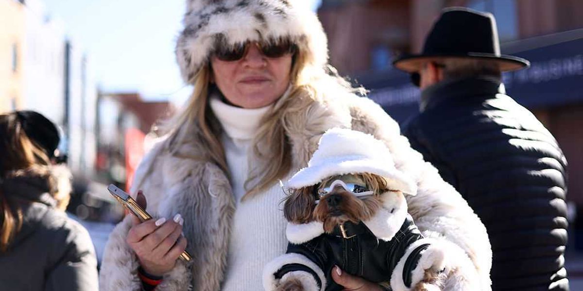 Current pet ownership is a mental health issue