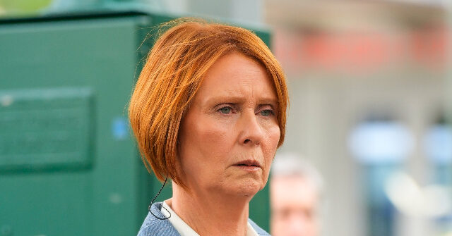 Cynthia Nixon Describes Minnesota ICE Shooting as a 'Cold Blooded Execution'