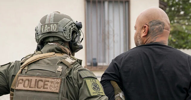 DHS Provides Updates on Ongoing Arrests of Criminal Illegal Immigrants in Minnesota