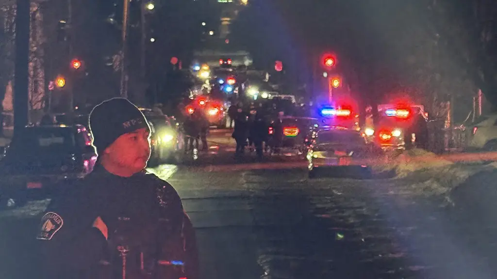 DHS criticizes New York Times for 'misleading' headline about Minneapolis ICE shooting