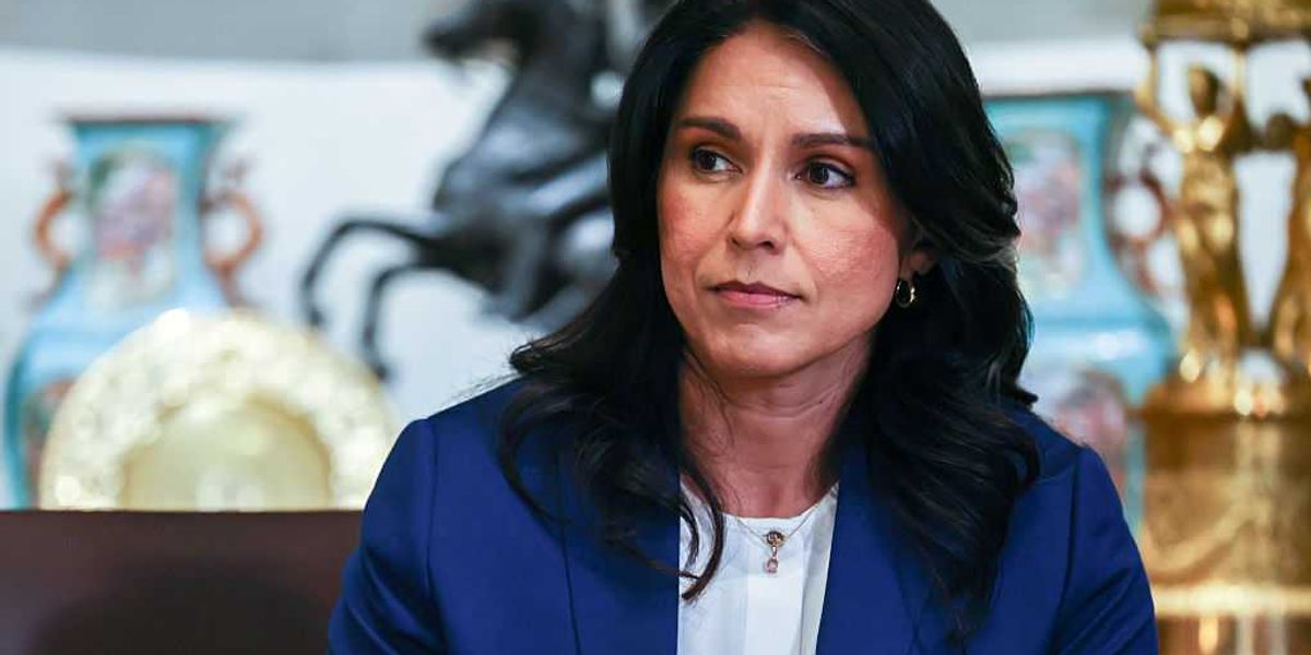 Democrats are worried upon seeing Tulsi Gabbard during the FBI raid at the Fulton County election office.