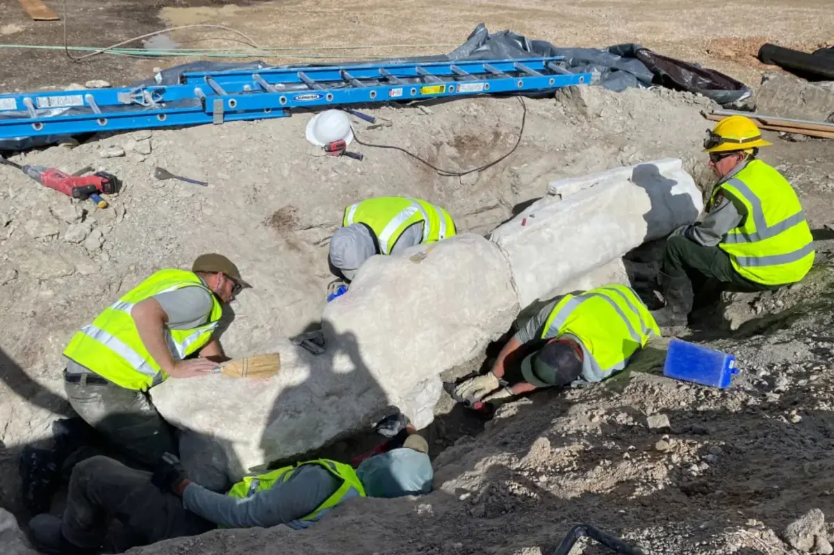 Dinosaur bones discovered during parking lot development at national park