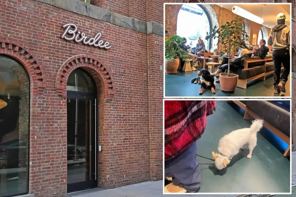 Dog attack at popular NYC bakery Birdee raises discussion about dogs in restaurants