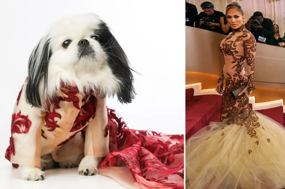 Dogs in NYC mimic celebrity styles from the Golden Globes red carpet at the inaugural 'Golden Paws' event.