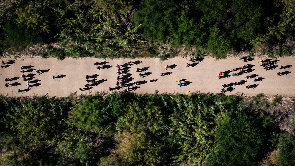 Drug overdose fatalities fell by 20% in 2025 due to tougher border enforcement