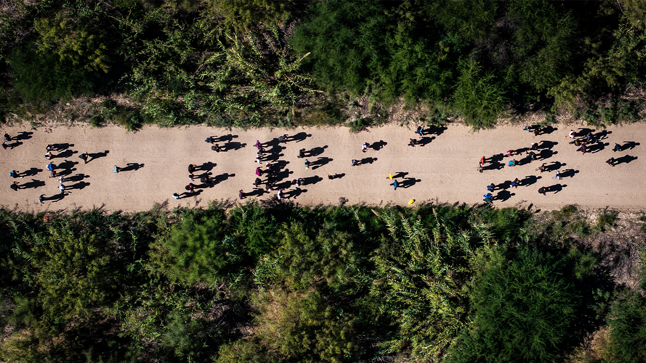 Drug overdose fatalities fell by 20% in 2025 due to tougher border enforcement