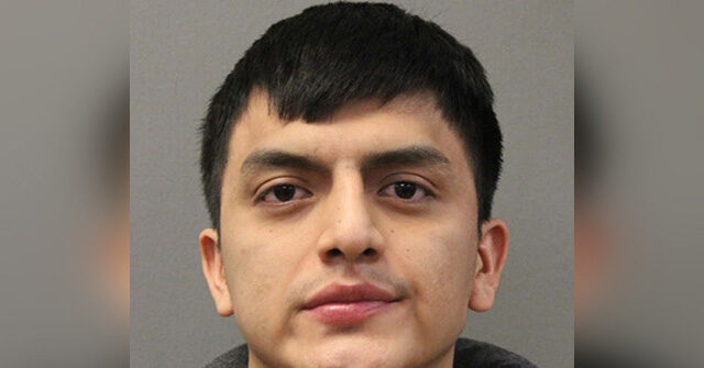 Ecuadorian Immigrant Accused of Assaulting 12-Year-Old Girl in Chicago