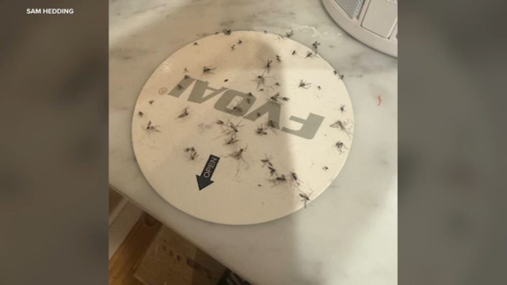 El Segundo residents angry about mosquito problem