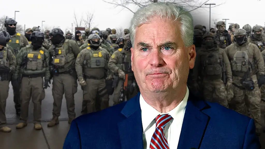 Emmer contests Democratic assertions that the demonstrations in Minnesota have been peaceful.