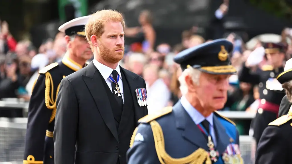 Experts believe Prince Harry probably won't meet King Charles during his visit to the UK.