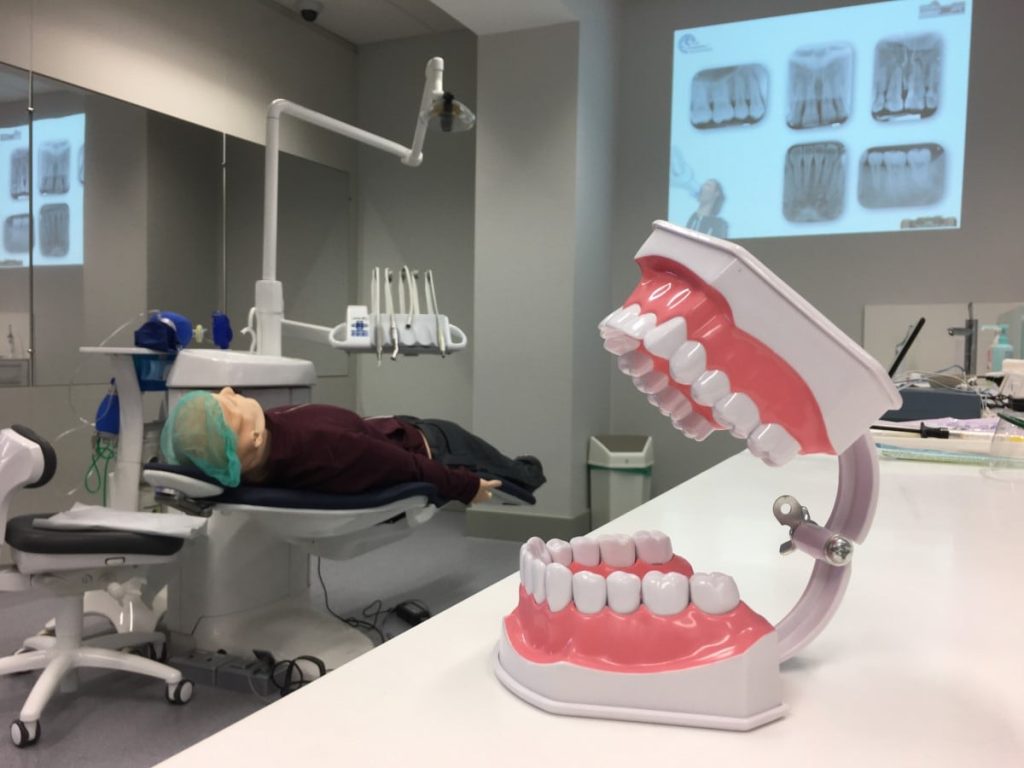 Families in the military will experience small rises in Tricare dental costs.