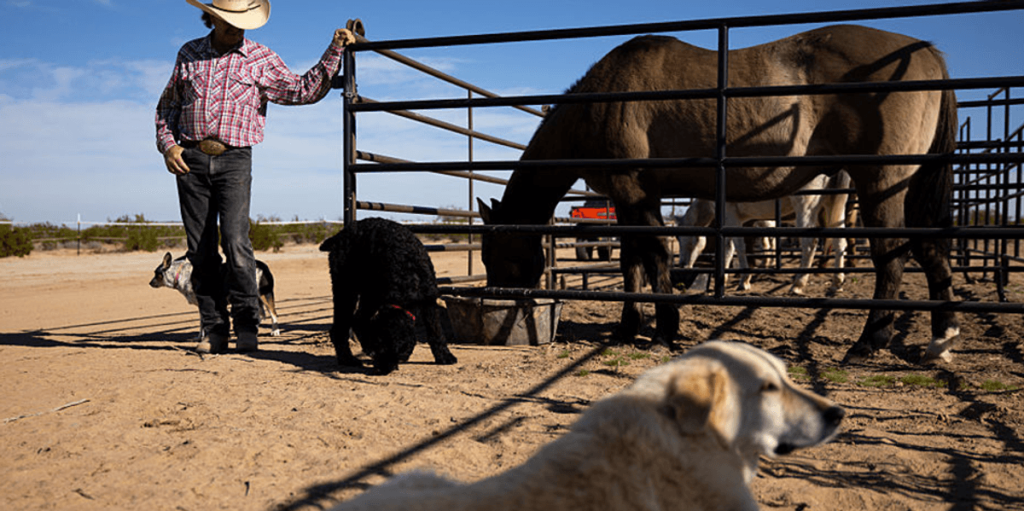 Farmers' Almanac saved from disappearing, preserving a 200-year tradition: 'It felt wrong'