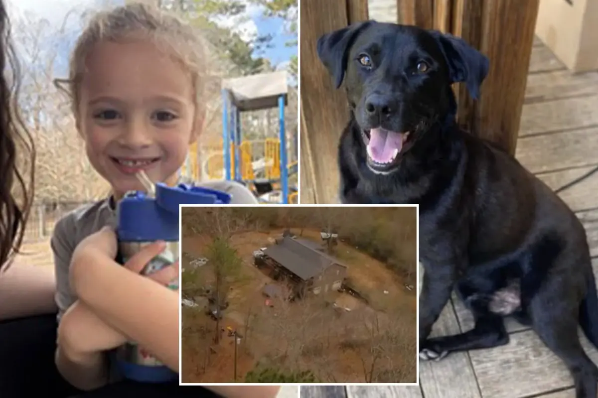 Florida boy Johnathan Boley discovered deceased after going missing with his dog in Alabama on New Year's Eve