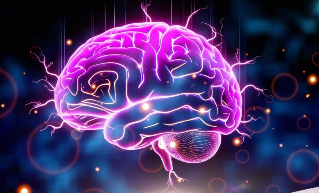 For the First Time, Human Brain Cells Were Grown in Rats and Something Unusual Was Observed