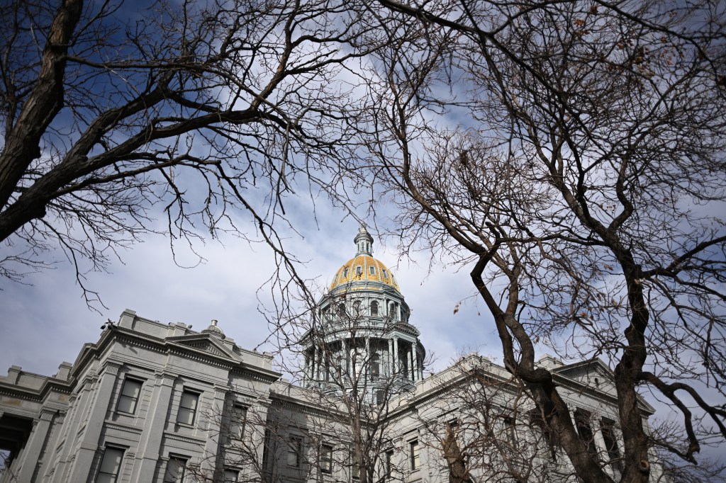 For years, Colorado Medicaid overpaid a program's providers multiple times, leading to millions in losses.