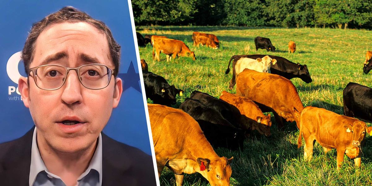 Forget Greenland — we're losing the true fertile land that nourishes America