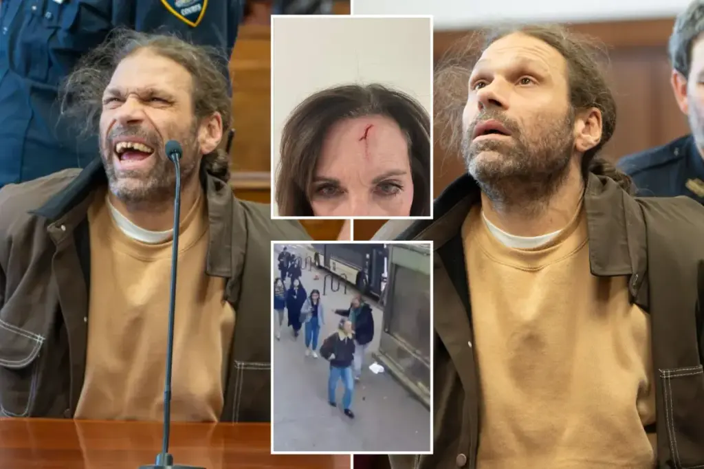 Former inmate without a home charged with assaulting an NYU aspiring model loses control in court