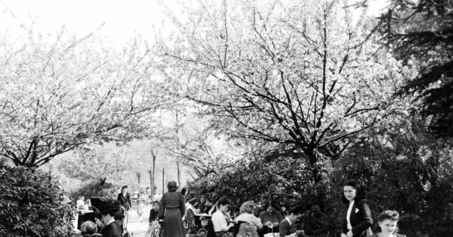 France Observes More Deaths Than Births for the First Time Since World War II