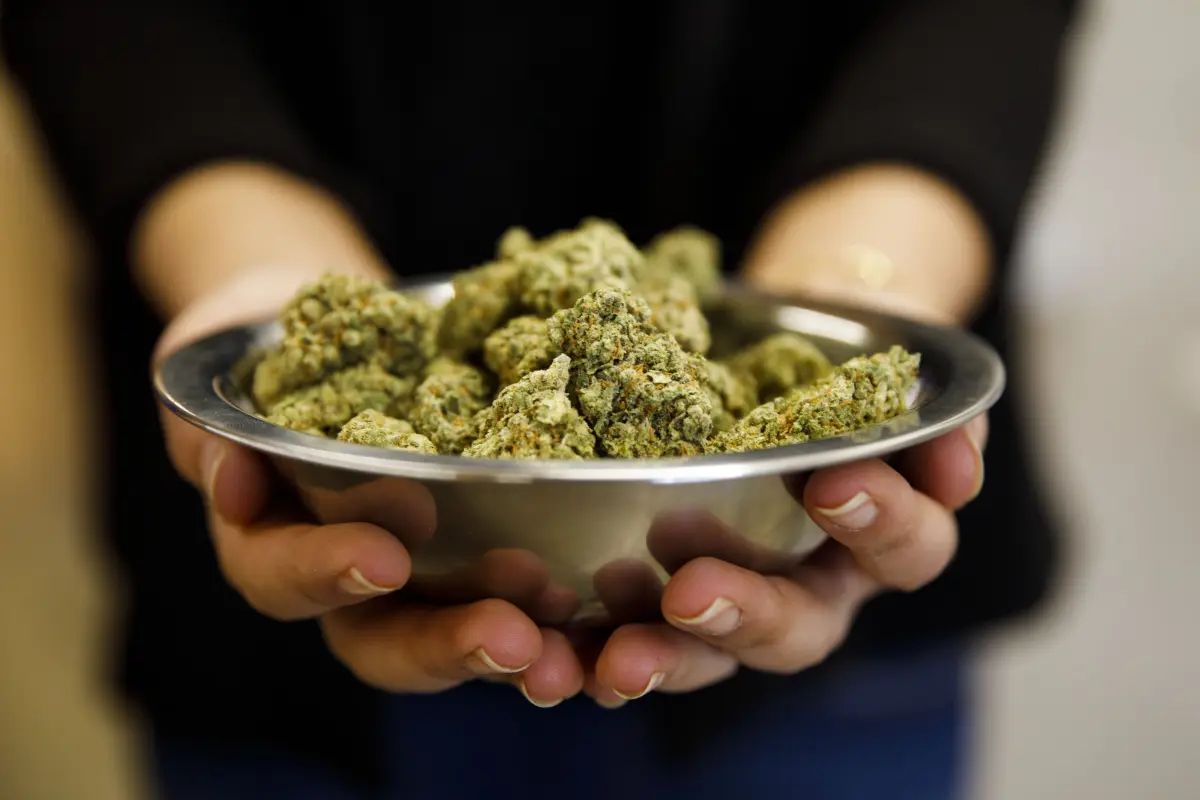 Frustration as Santa Monica starts initiative to assist former offenders in opening cannabis stores in troubled beach city