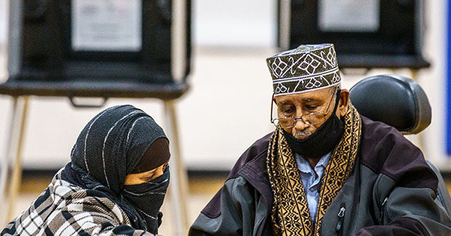 GOP Investigates How Democrats Use Immigrants and Refugees to Influence Elections