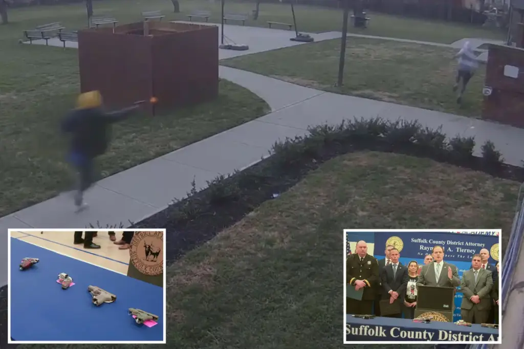 Gang leader and members from Long Island facing charges related to a series of violent incidents.