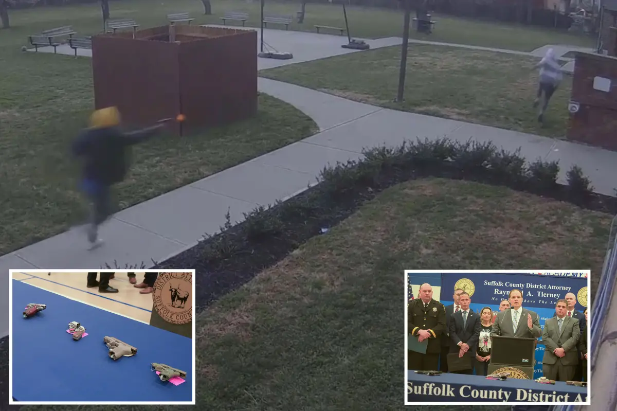 Gang leader and members from Long Island facing charges related to a series of violent incidents.