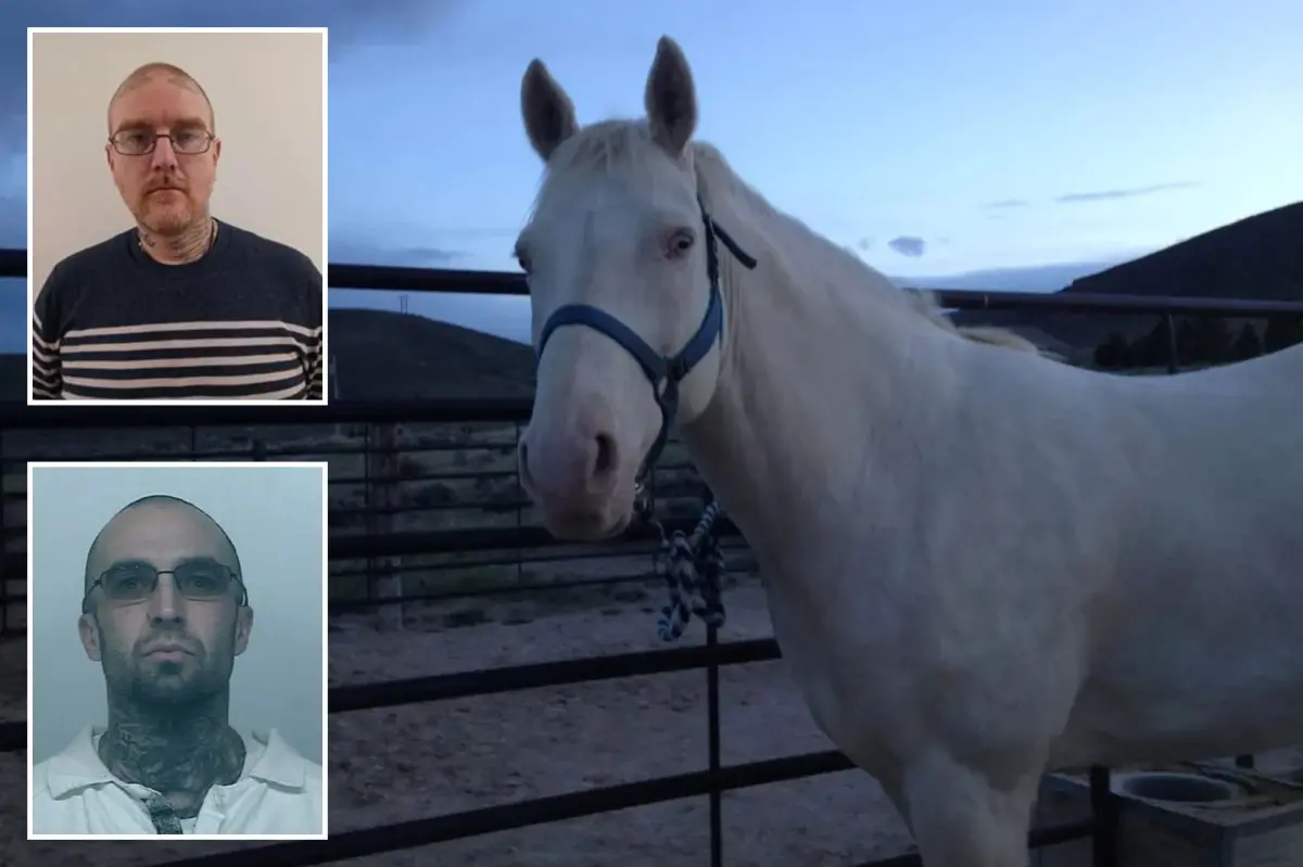 Gang member in Washington killed a horse as part of a strange ritual so that his deceased friend could 'ride it to Valhalla'