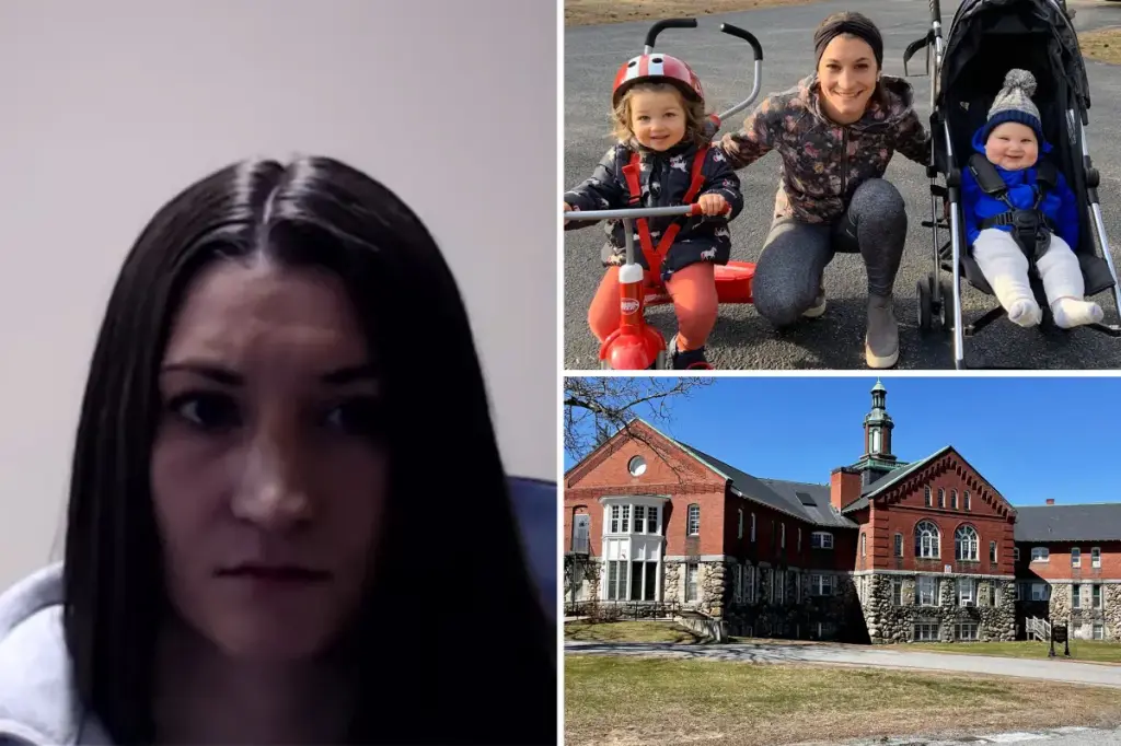 'Genuine risk' that Lindsay Clancy may take her own life during her trial, according to her lawyer