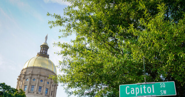 Georgia Democratic Representative Accused of Deceiving to Get COVID Unemployment Assistance